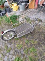 Velosport Anhänger für Kinder/Einkauf, robust & praktisch