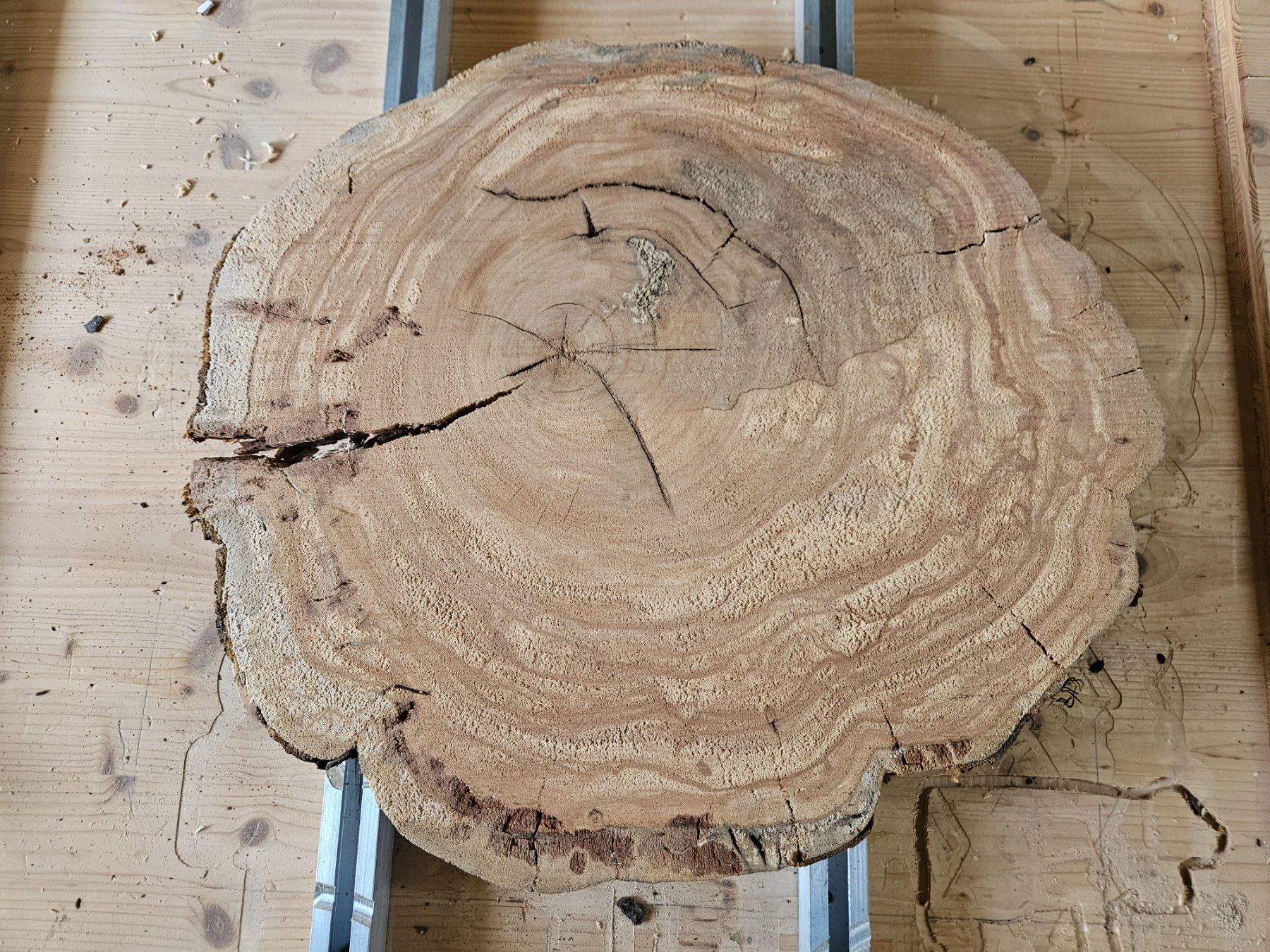 Articles en bois: Baumscheibe Kirschbaum Holz – Neuf (Voir description) à Schangnau par egli6.2 2