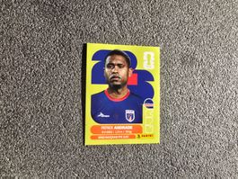 Panini WM 26 - Patrick Andrade- CPV11