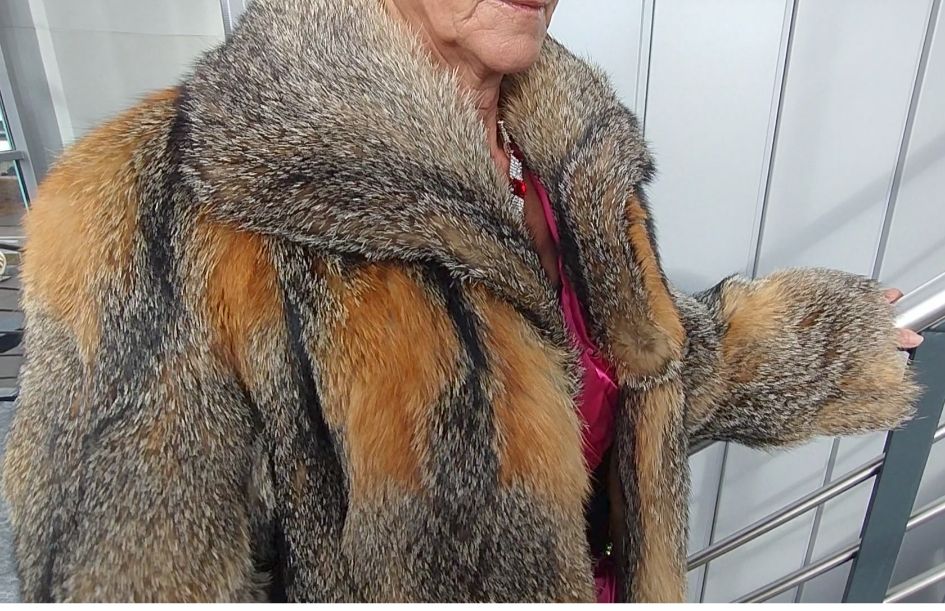 Cappotti: Pelzmantel Pelzjacke Griesfuchs – Usato da Zuzwil SG venduto da BeyondBelief_ 4