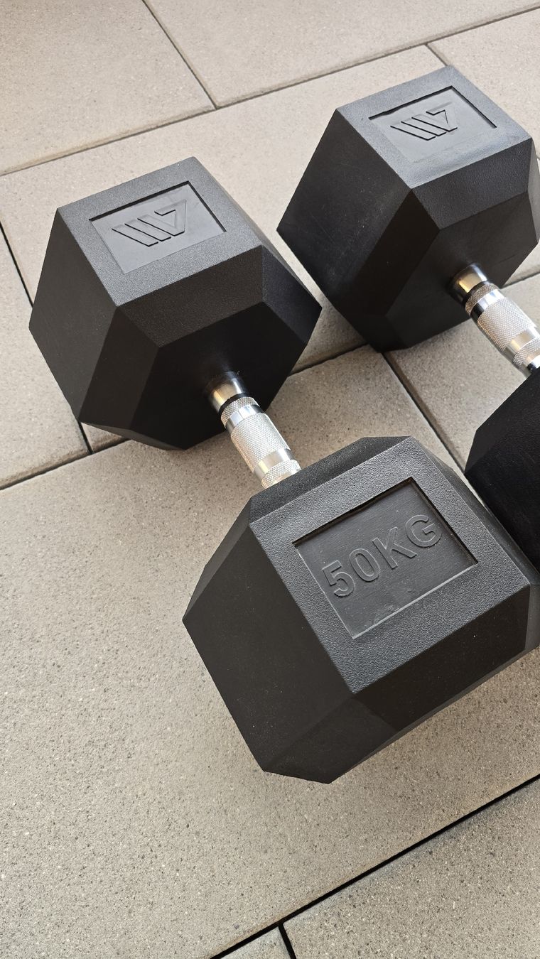 Manubri & Pesi: 2×50kg – Usato da Baldegg venduto da tse_xqc5 1