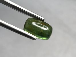 schönes Turmalin Cabochon grün 2.9 Karat