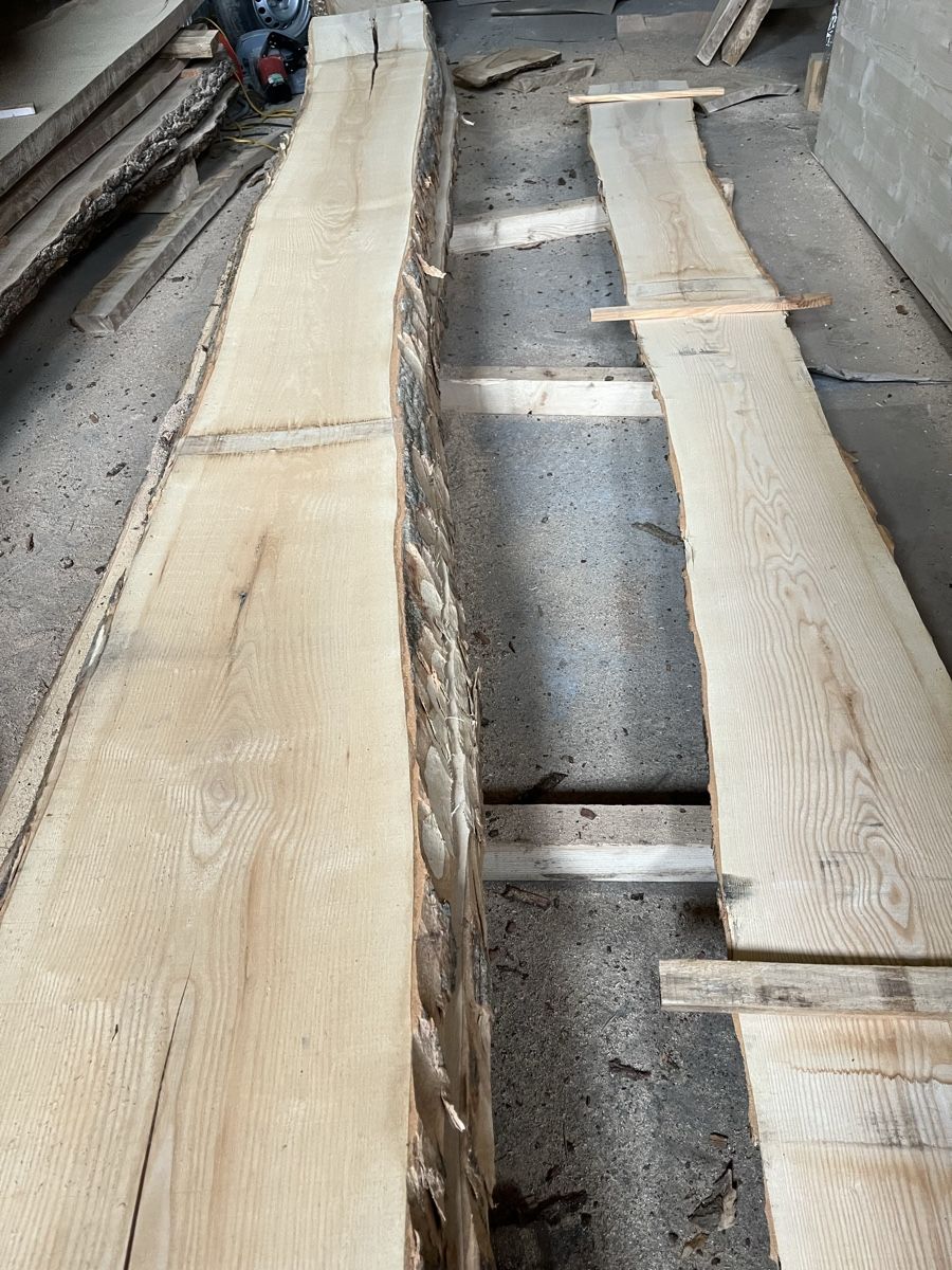 Articoli in legno: Eschen Bretter – Nuovo (secondo la descrizione) da Gamprin venduto da ha6