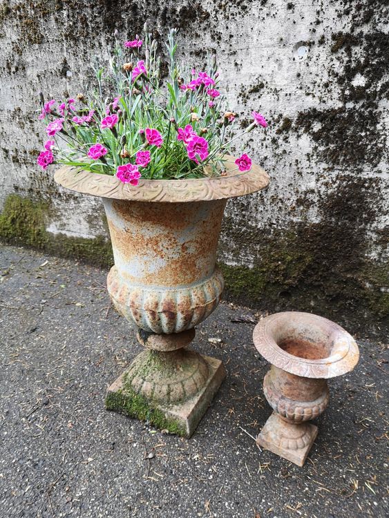 Blumentopf antik Kaufen auf Ricardo