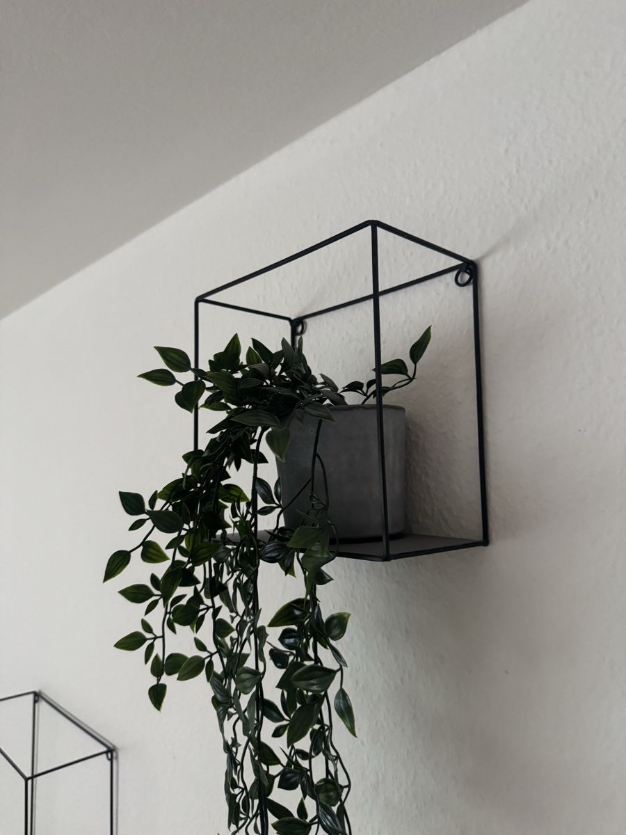 Tutte le decorazioni: 6 Wandregale zum Aufhängen – Usato da Berikon venduto da van_nfx8 1