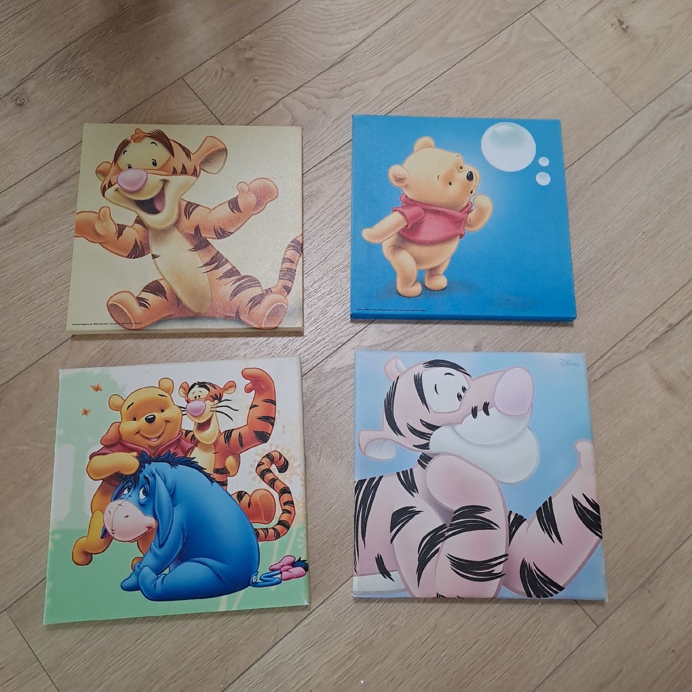 Foto & Immagini: Winnie the Pooh Leinwand Bilder – Usato da Winterthur venduto da Ninosch02