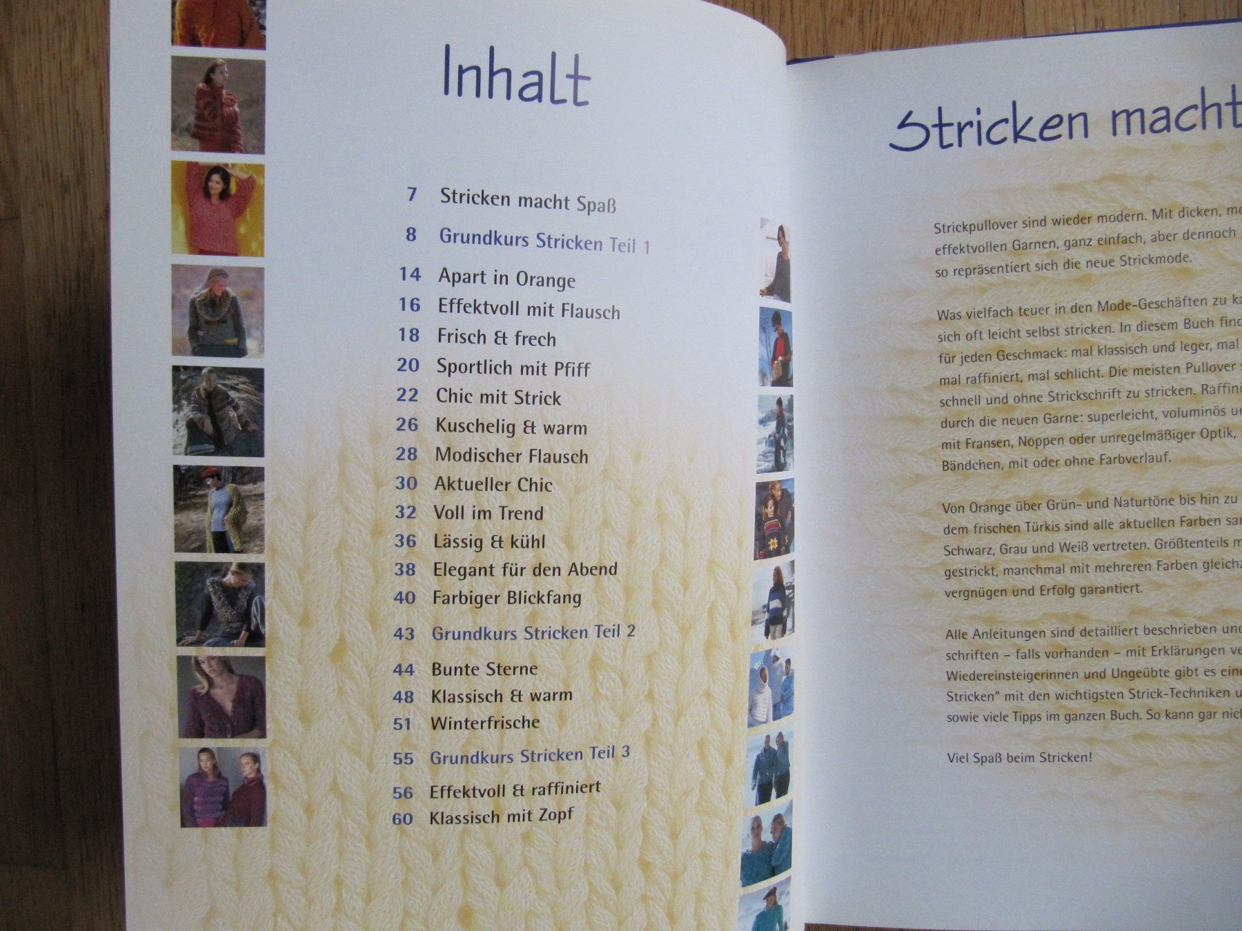 Libri: Strickideen im Trend , - Kreativbuch Strick-Buch – Usato da Würenlos venduto da Carabella0 1