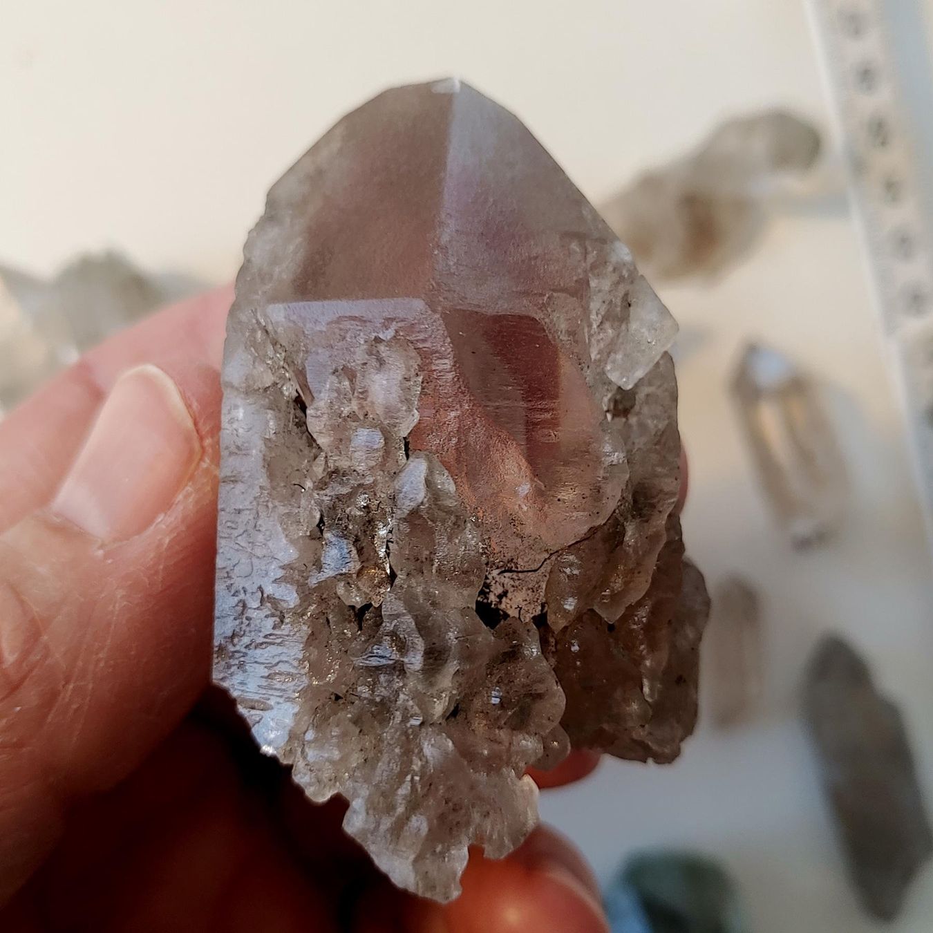 Minerali & Pietre curative: Lot Quarz, Uri, teils mit Phantom u. Skelett – Nuovo e nell'imballaggio originale da Steinhausen venduto da Kristall022 5