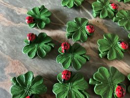 LOT 36 petites coccinelles sur trèfles à 4