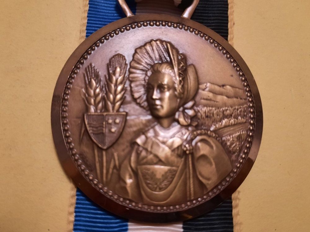 medalla a identificar. paul kramer. neuchatel ( - Compra venta en