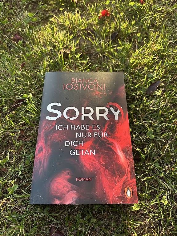 Libri: Sorry – Usato da Heimberg venduto da nic_679y