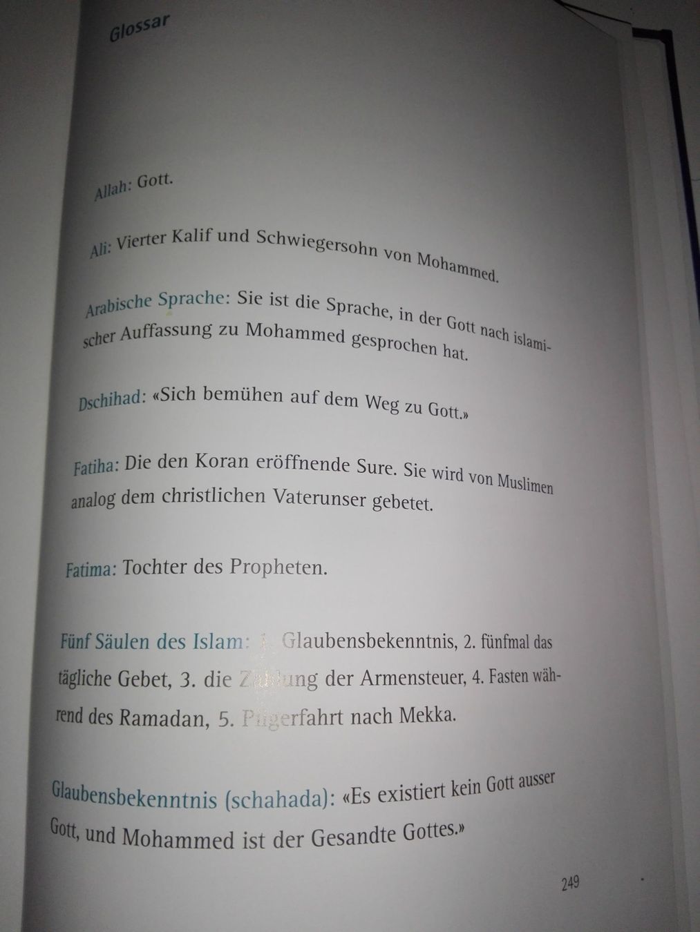 Bücher: Allahs Kinder sprechen Schweizerdeutsch  (Philipp Dreyer) – Gebraucht aus St.Gallen von elk2023 7