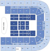 1-4x Sitzplatz Tickets Oberrang für Céline Dion Paris 2026