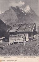 Grindelwald Alphütte mit Alphornbläser Burger