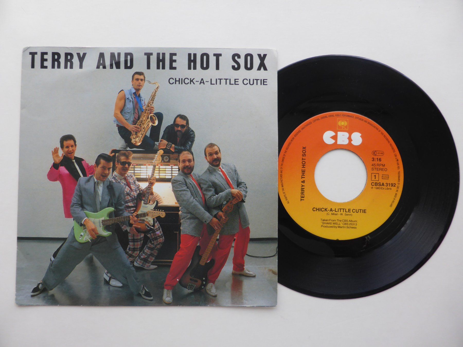 Dischi in vinile: VINYL SINGLE  TERRY and THE HOT SOX – Usato da Küssnacht am Rigi venduto da Mondkinder