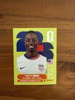 Panini FIFA WM 2026 Einzelsticker USA 12