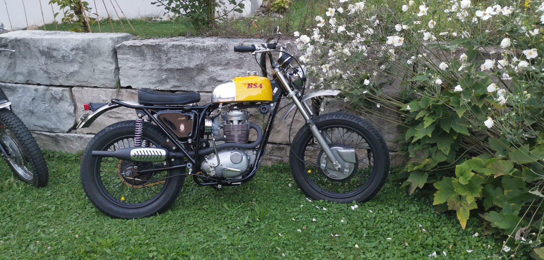 Enduro: BSA B441 Victor Special – Usato da Trimbach venduto da ZweirAdler 2