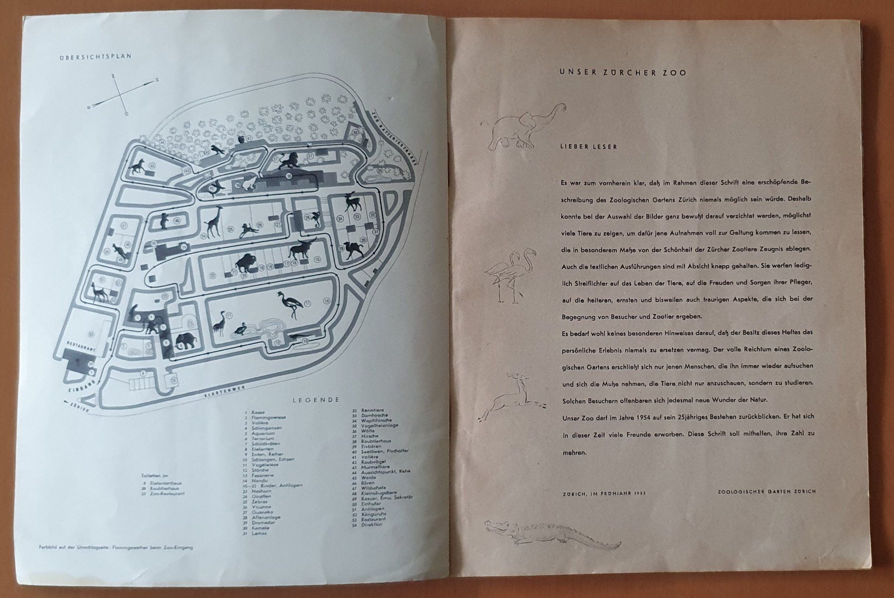 Riviste & Magazine: Zürcher Zoo - Heft 1953 – Usato da Kreuzlingen venduto da Rschweiz1 1