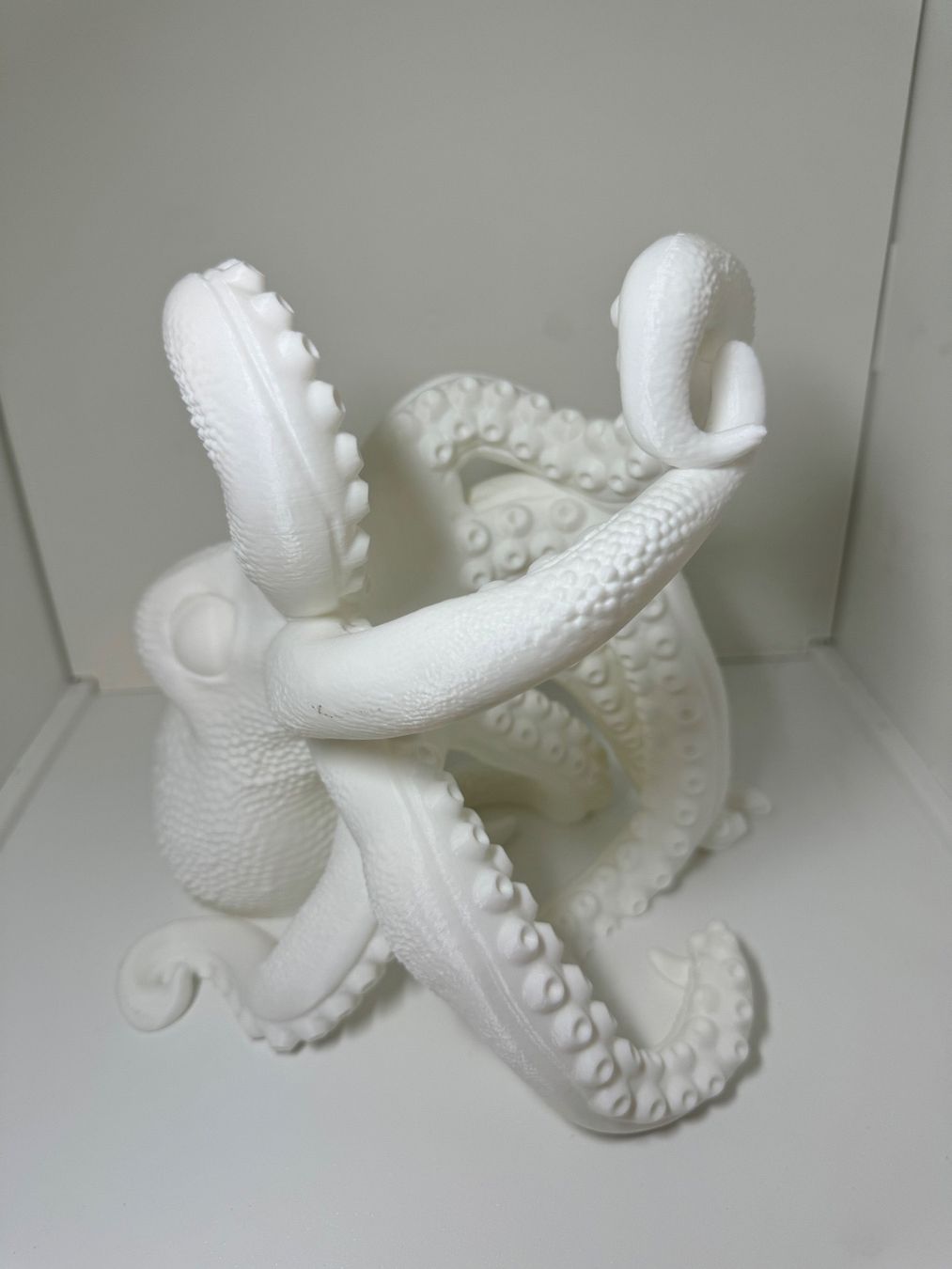 Portabottiglie: Pieuvre Octopus Oktopus support pour bouteille – Nuovo (secondo la descrizione) da Vicques venduto da PAMB3D 1
