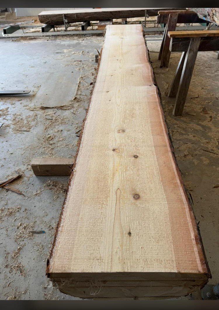 Articles en bois: Tuja - Holzstämme – D'occasion à Allenwinden par Bierschlucker 3