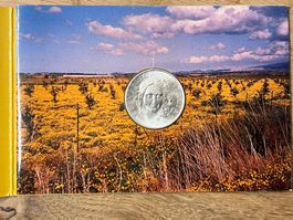 Italien 1993 – 500 Lire Silbermünze Flora e Fauna