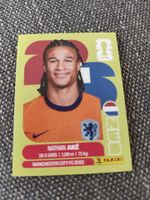 Panini 2026 Wm Ned 7