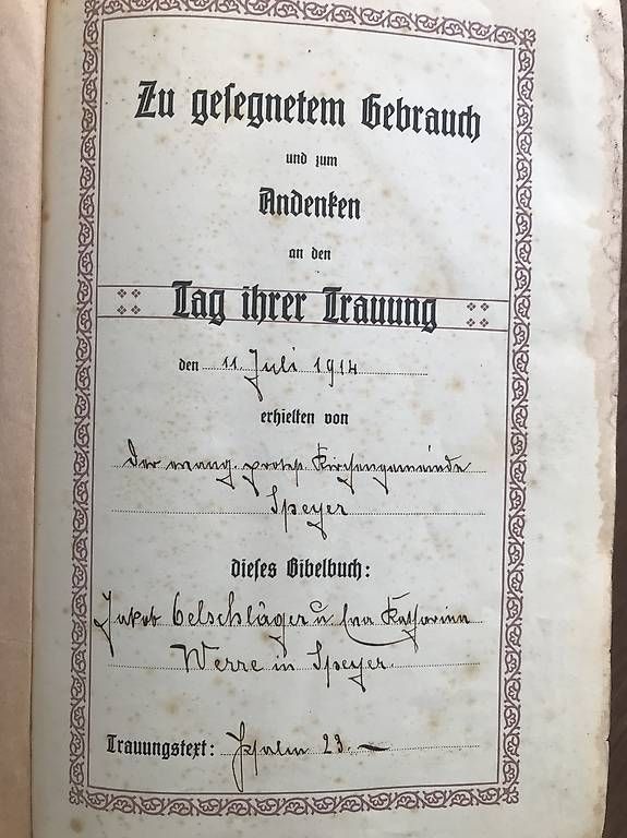 Livres: Die Heilige Schrift – D'occasion à schaffhausen par Munot100 2