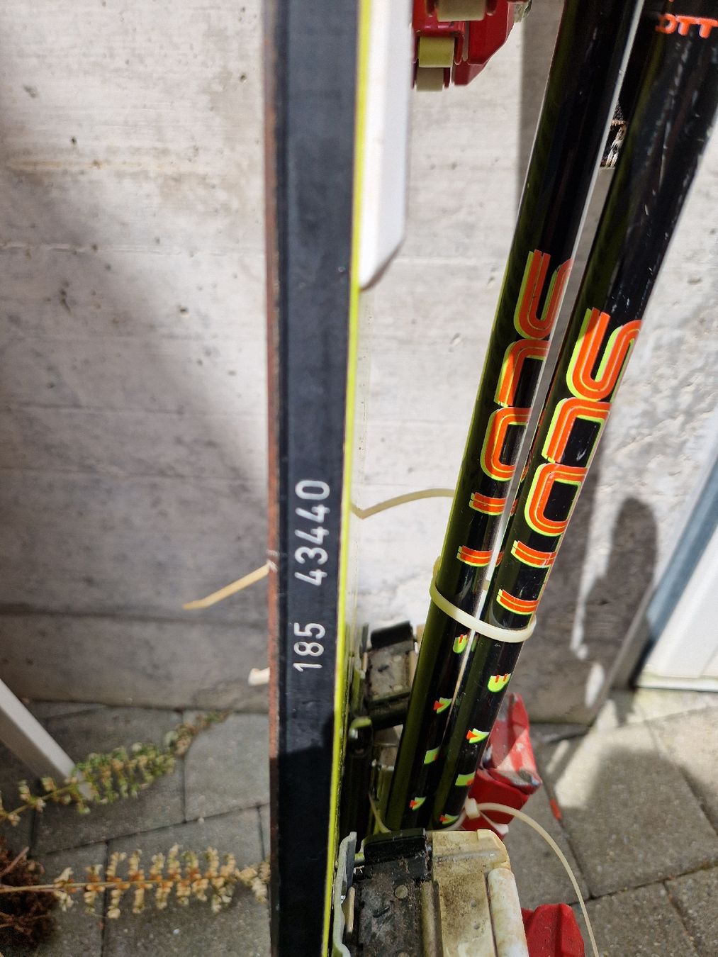 Skis: Monoski Nidecker – Gebraucht aus Avenches von Tuxmania 2