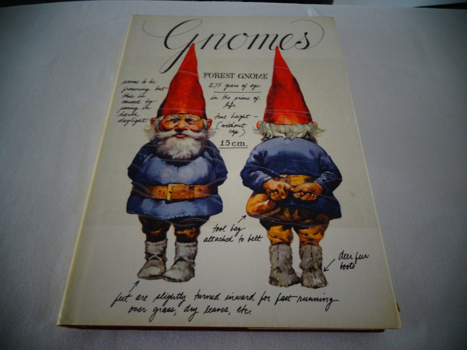 Bücher: Gnomes – Gebraucht aus Neerach von jenny062