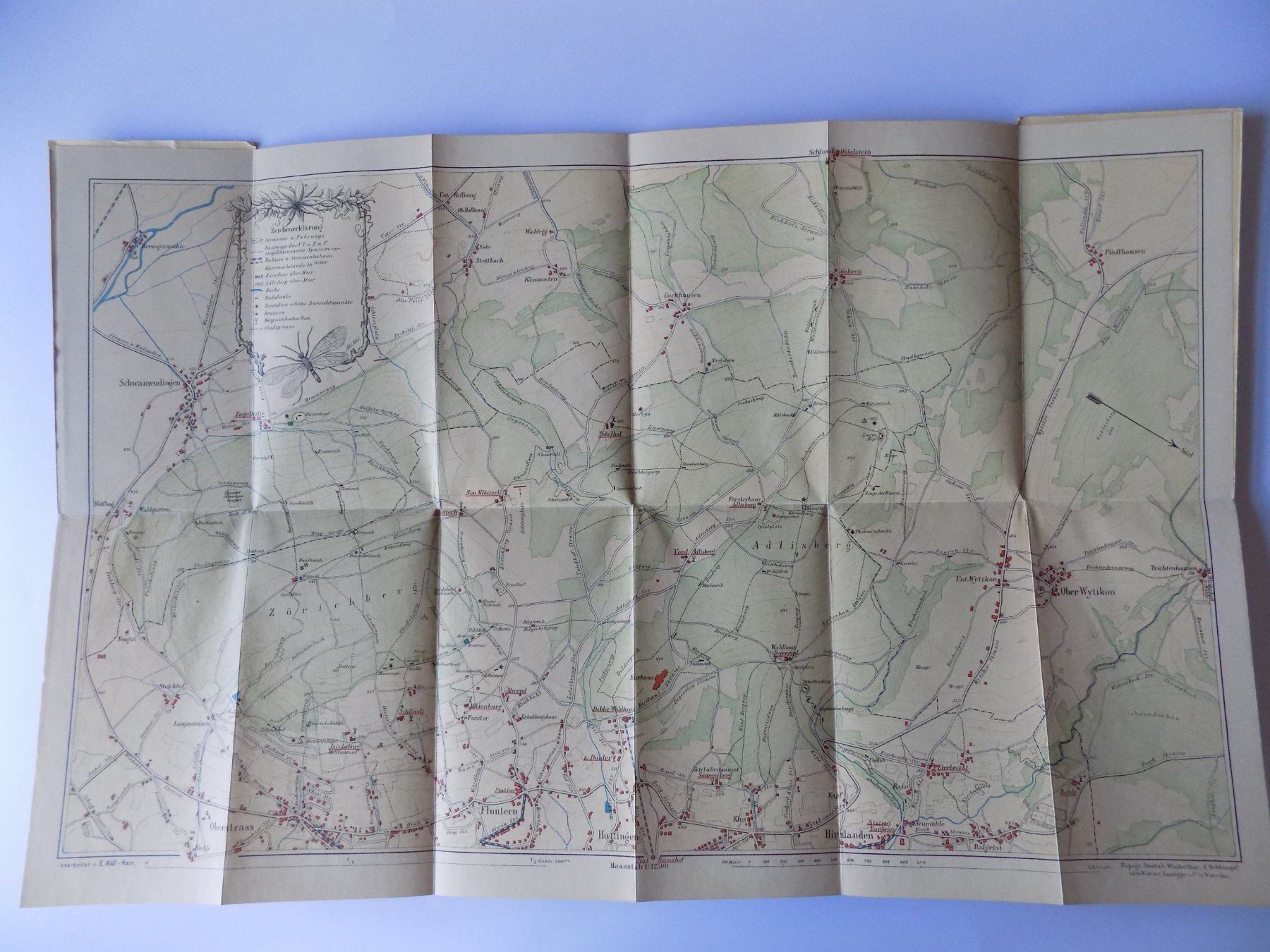 Incisioni: Loorenkopf Gebirgs-Ansicht 1897 – Usato da Risch venduto da Antikfee 7