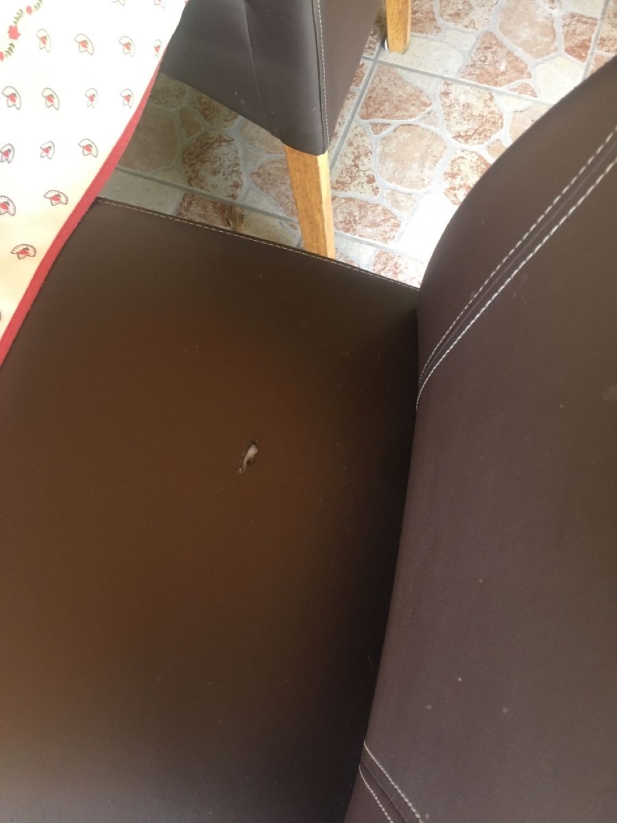 Sedie: Chaises 6 pièces 30.00 à prendre sur place – Usato da Vétroz venduto da Maho09