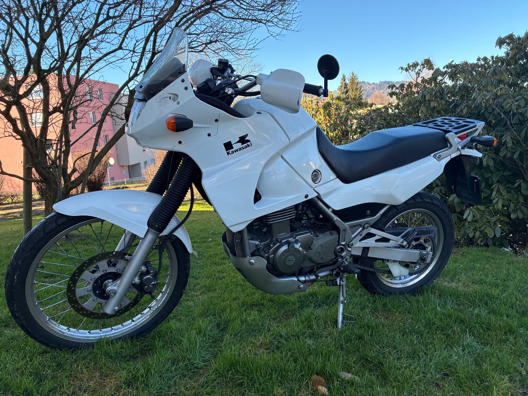 Kawasaki Enduro: Kawasaki kle 500 – Usato da St. Gallen venduto da MarkoBoss 2