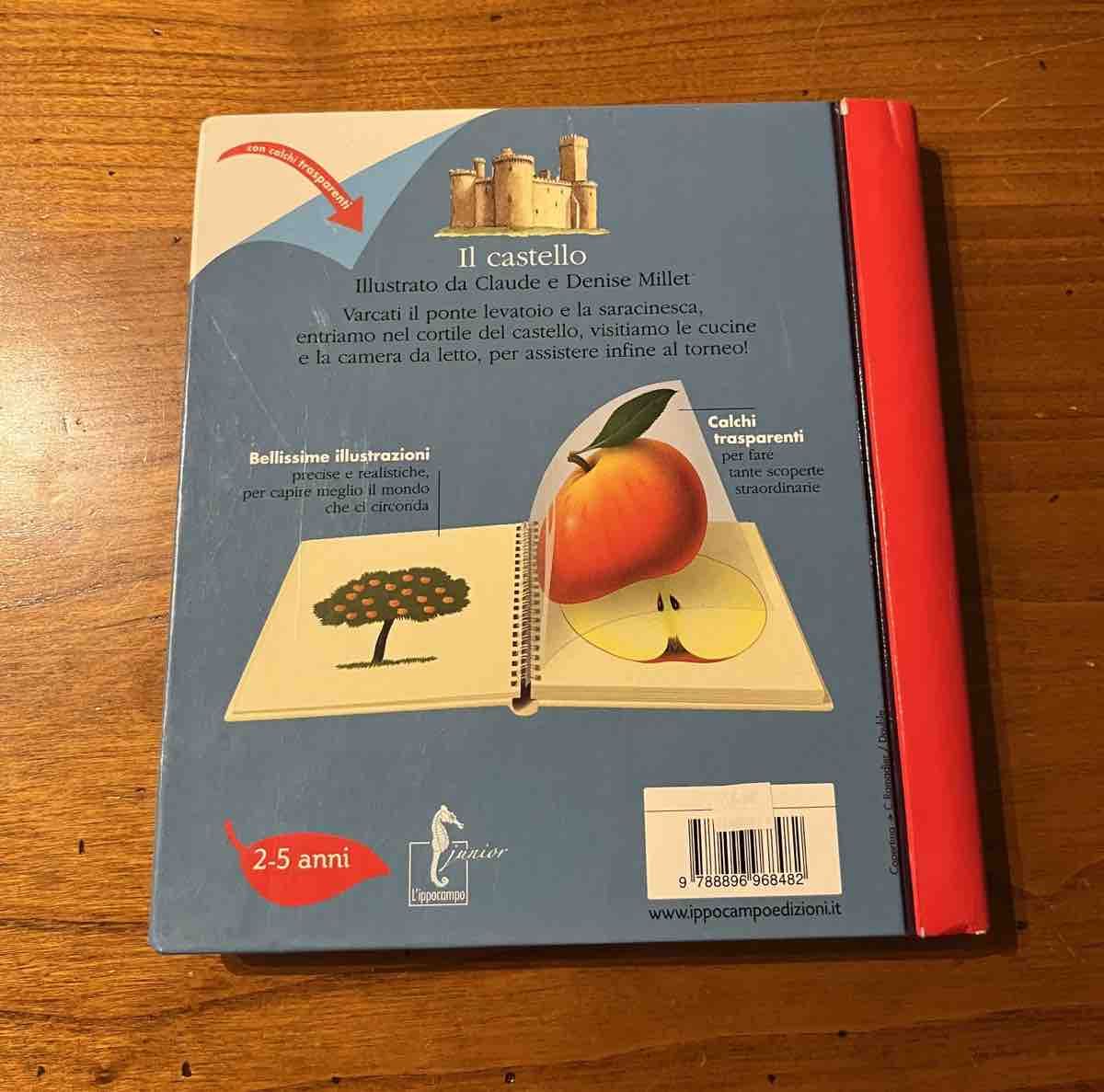 Libri: Schönes Bilderbuch IL CASTELLO – Usato da Zollikerberg venduto da elbamania 1