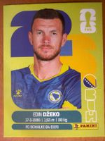 Panini BIH18