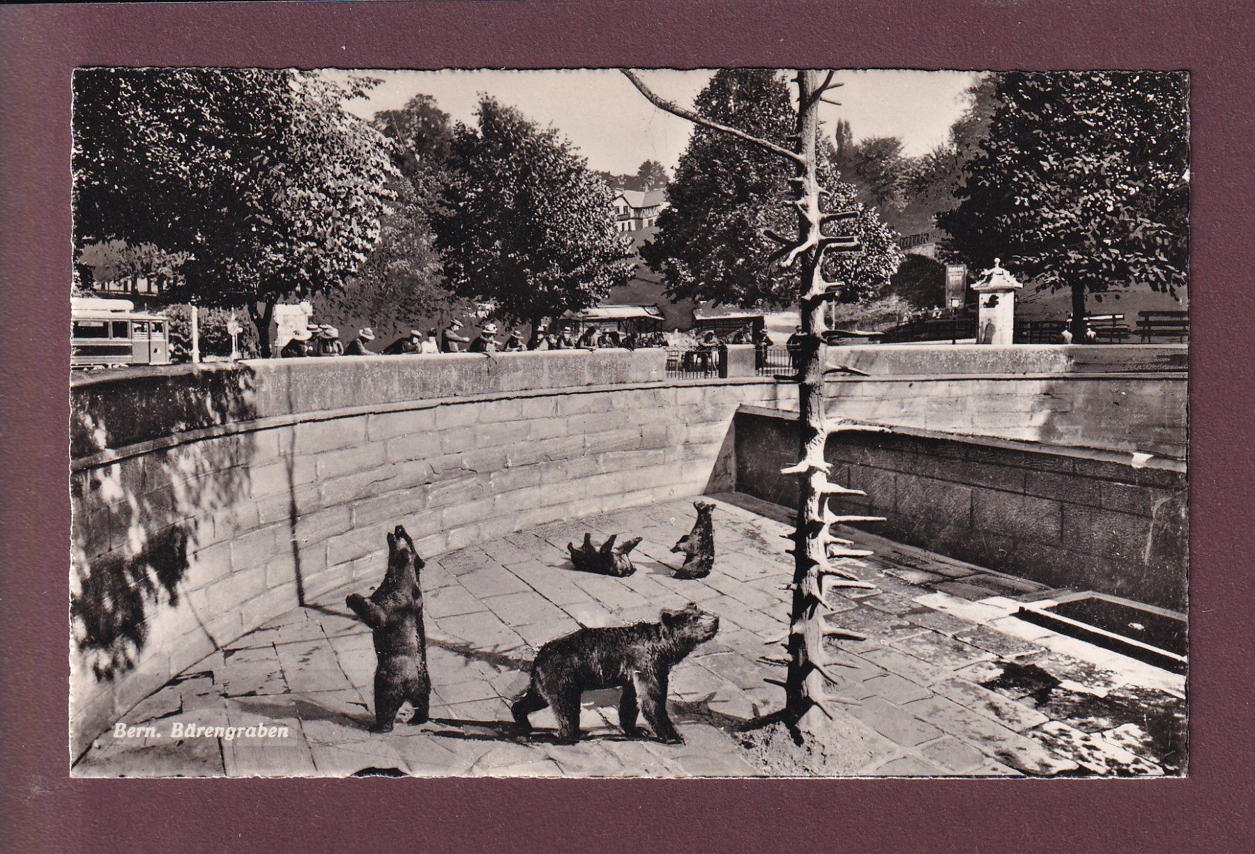 Cartoline postali: BERN - Bärengraben - 1946 – Usato da Pully venduto da nicecards