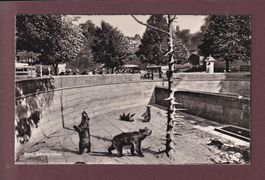 BERN - Bärengraben - 1946