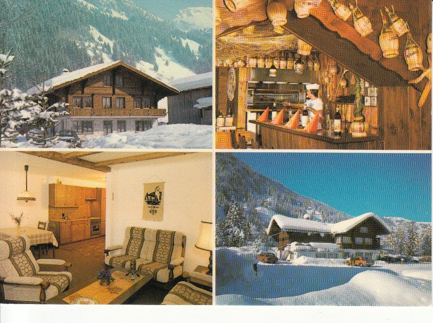 Cartoline postali: Lenk Edelweiss ca. 1970 – Usato da Bürglen TG venduto da StampGraf