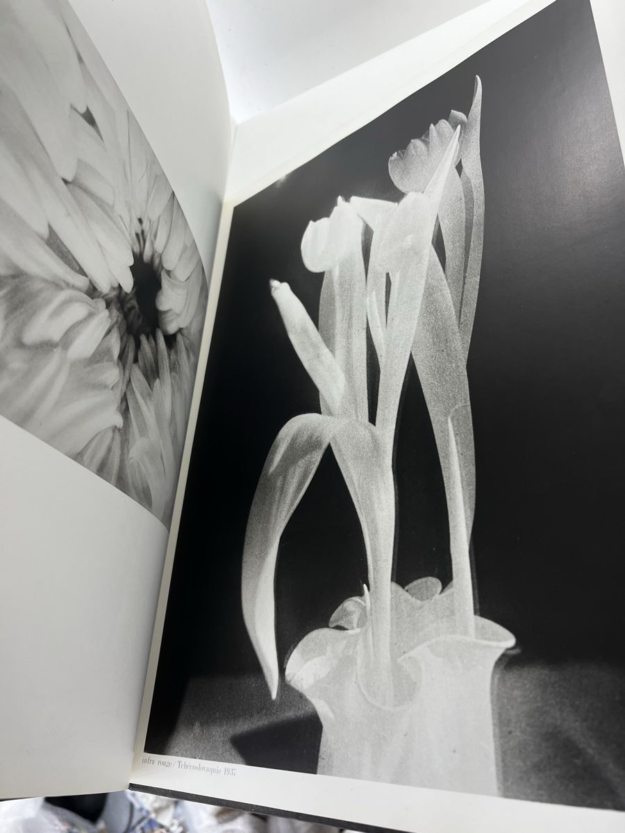Libri: Créatis La photographie au présent 1979 – Usato da Wettingen venduto da NickInc 3