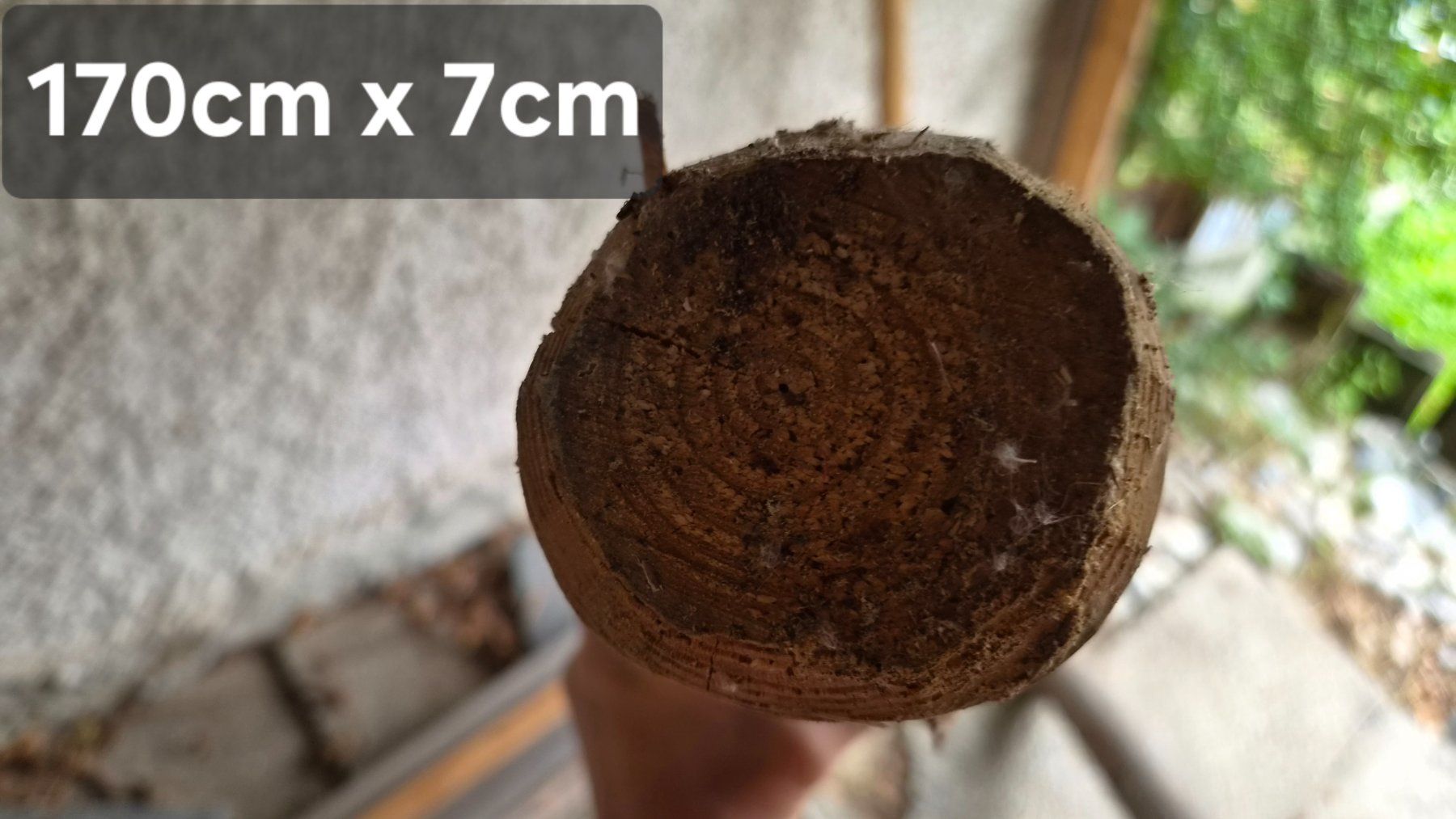 Articoli in legno: Holzpfahl – Usato da Bischofszell venduto da -fr-5 4