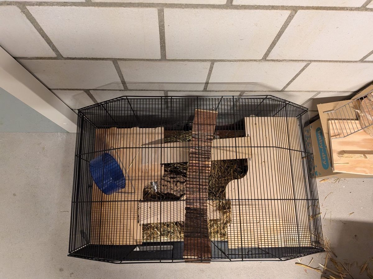 Käfige, Transport & Sicherheit: Hamster Cage Set with Accessories Used – Gebraucht aus Deitingen von roc_56nh 3