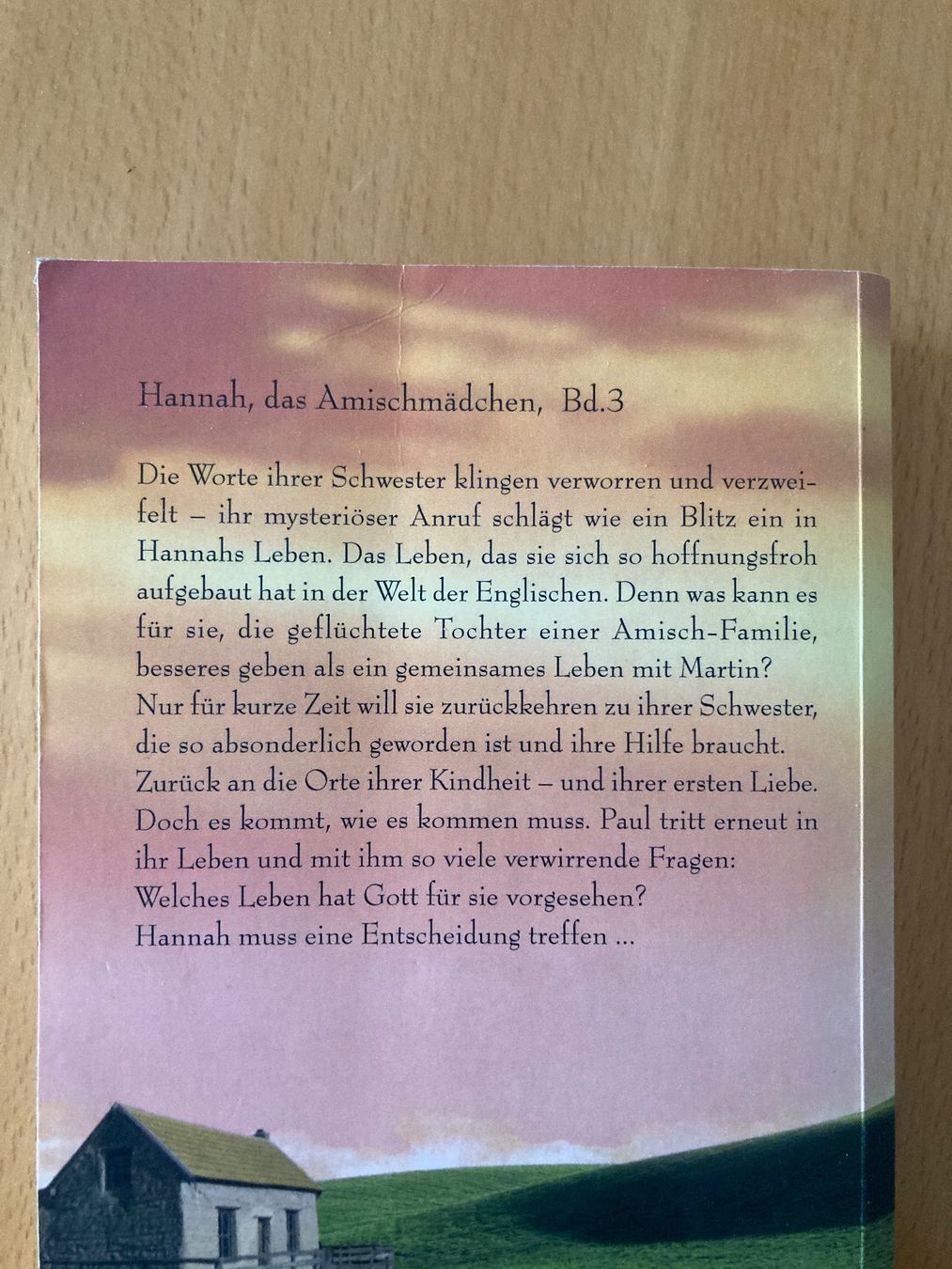 Bücher: Christlicher Roman "...so wird deine Hand mich halten" – Gebraucht aus Gelterkinden von froggy80 1