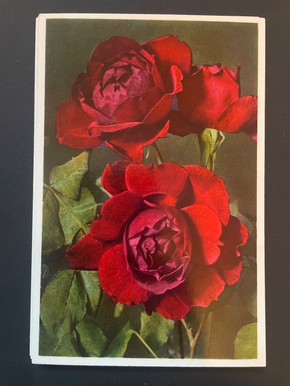 Cartes postales: Alte Postkarten – D'occasion à bern par frauschenk
