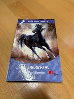 Wild Horse Creek 4
