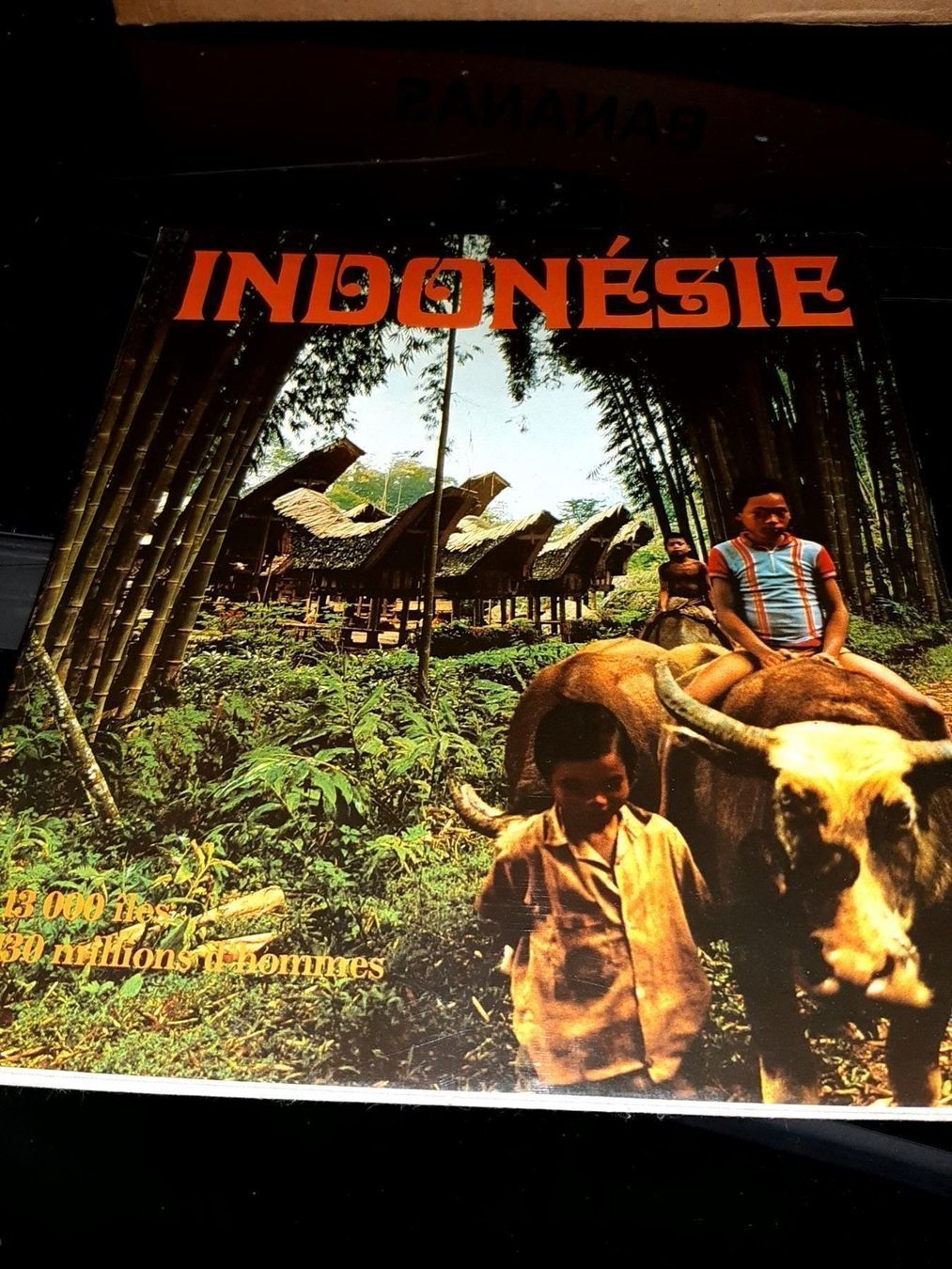 Libri: indonesie – Usato da Le locle venduto da juliensaran
