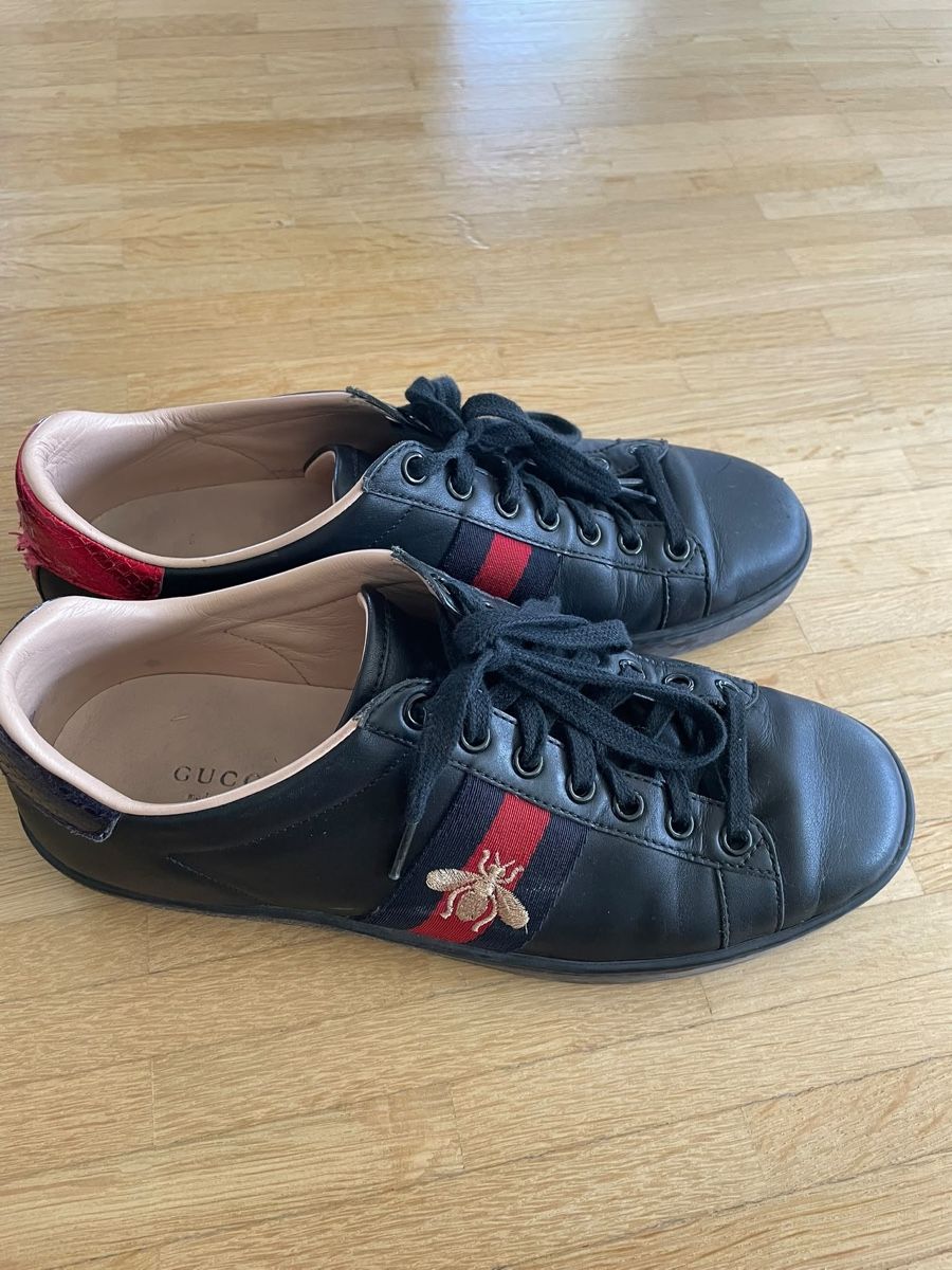 Gucci Herrenschuhe: Gucci Sneaker Ace Trainer – Gebraucht aus Sonnental von cantona1