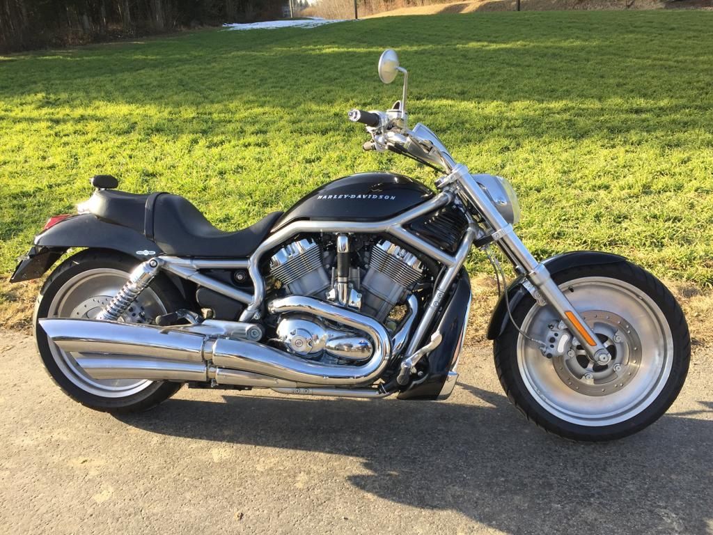Harley-Davidson Chopper: Harley Davidson V-Rod – Usato da Belp venduto da Siruz