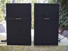 Panasonic Lautsprecher, 2 x 10 W