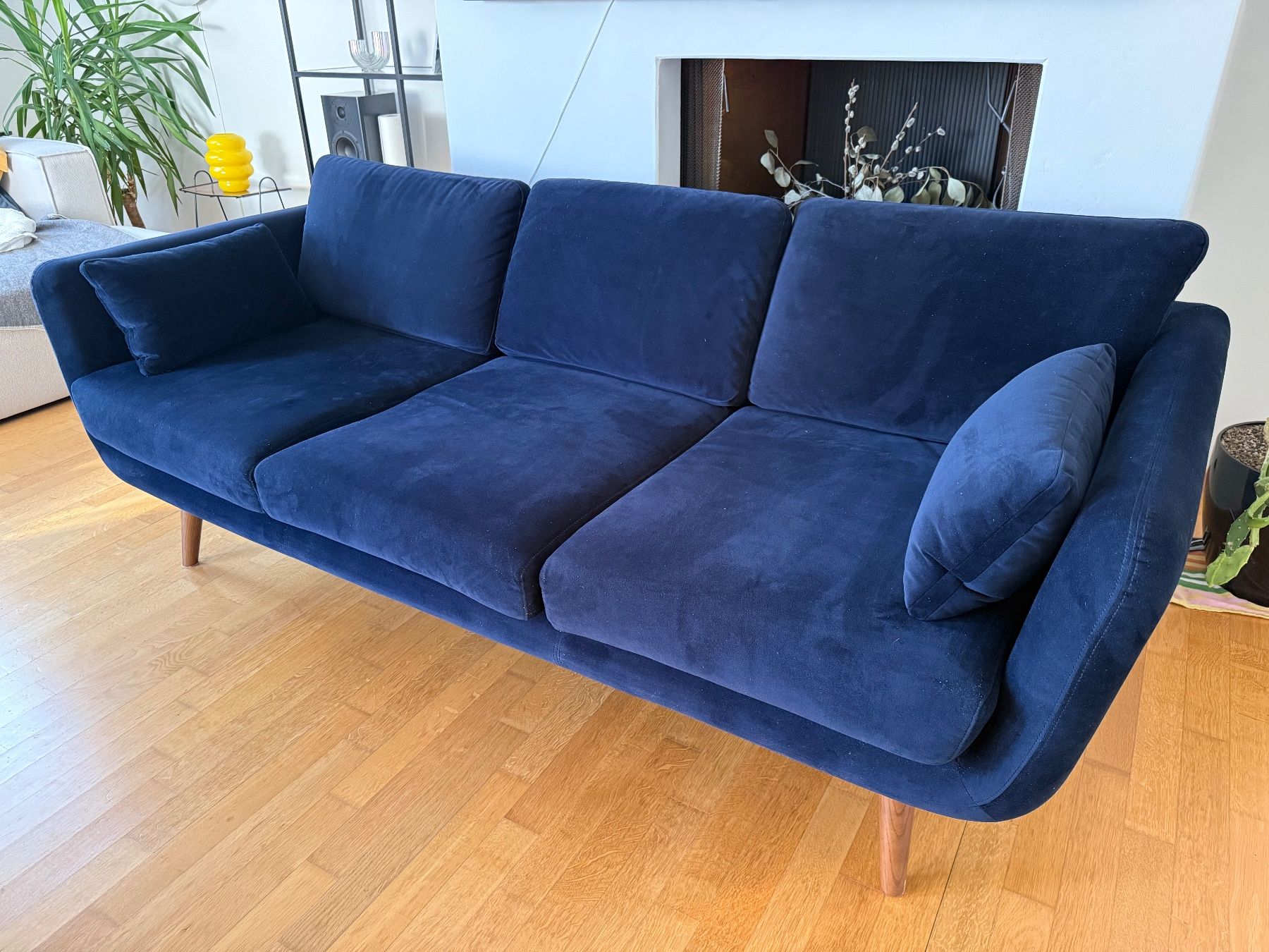 Sofacompany Divani: Elegantes Samtsofa von Sofacompany Dunkelblau – Usato da Zürich venduto da dbsharry