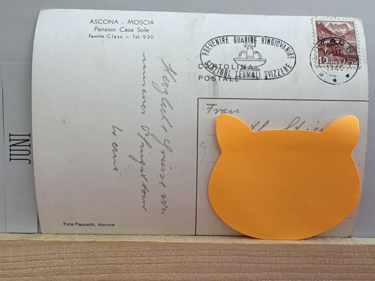 Cartoline postali: AK Moscia Pension Casa Sole – Usato da Rümlang venduto da Kartenpost1 1