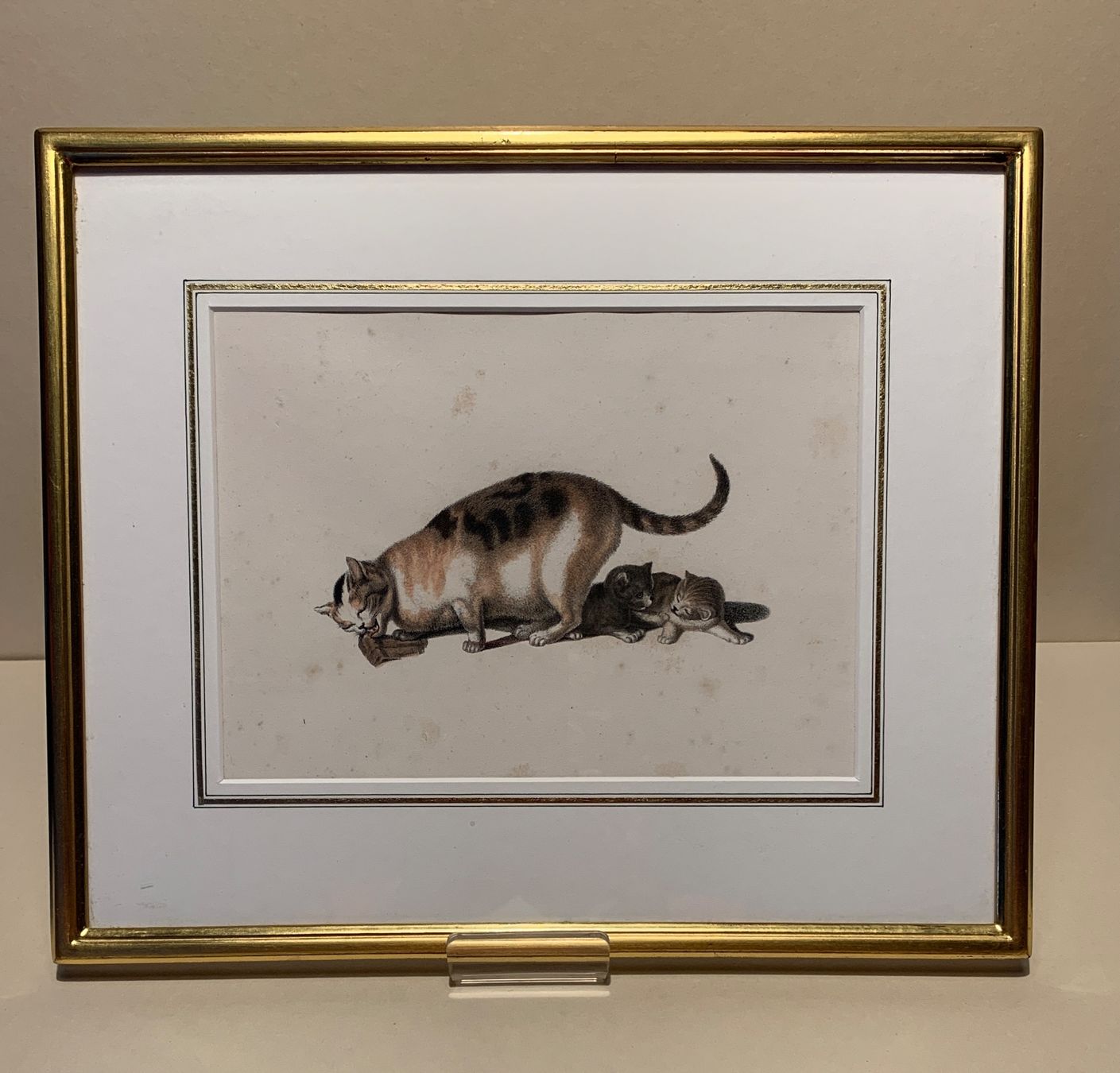 Grafica & Litografie: Chatte qui mange et ses deux petits – Usato da Veytaux venduto da Latourelle